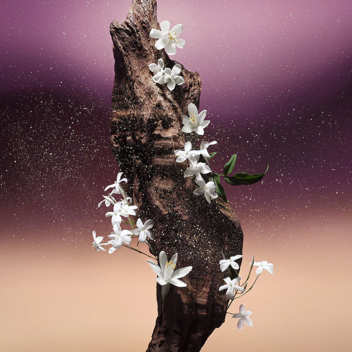 Fleur du Desert